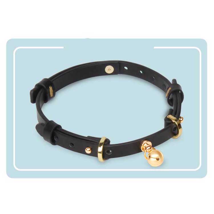 Bdsm Permanent Collar