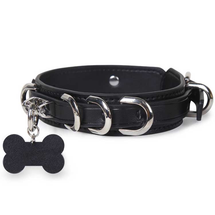 puppy collar